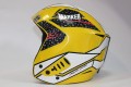 jaguar_yellow_2.JPG