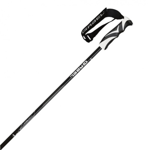 g-force-sc-gabel-alpine-skiing-poles-in-carbon-and-snake-carbon-1.jpg