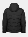 0592666_P99_NordicWArctyIIskijacket_back.webp