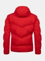 0592670_E65_NordicMArctyIIskijacket_back.webp
